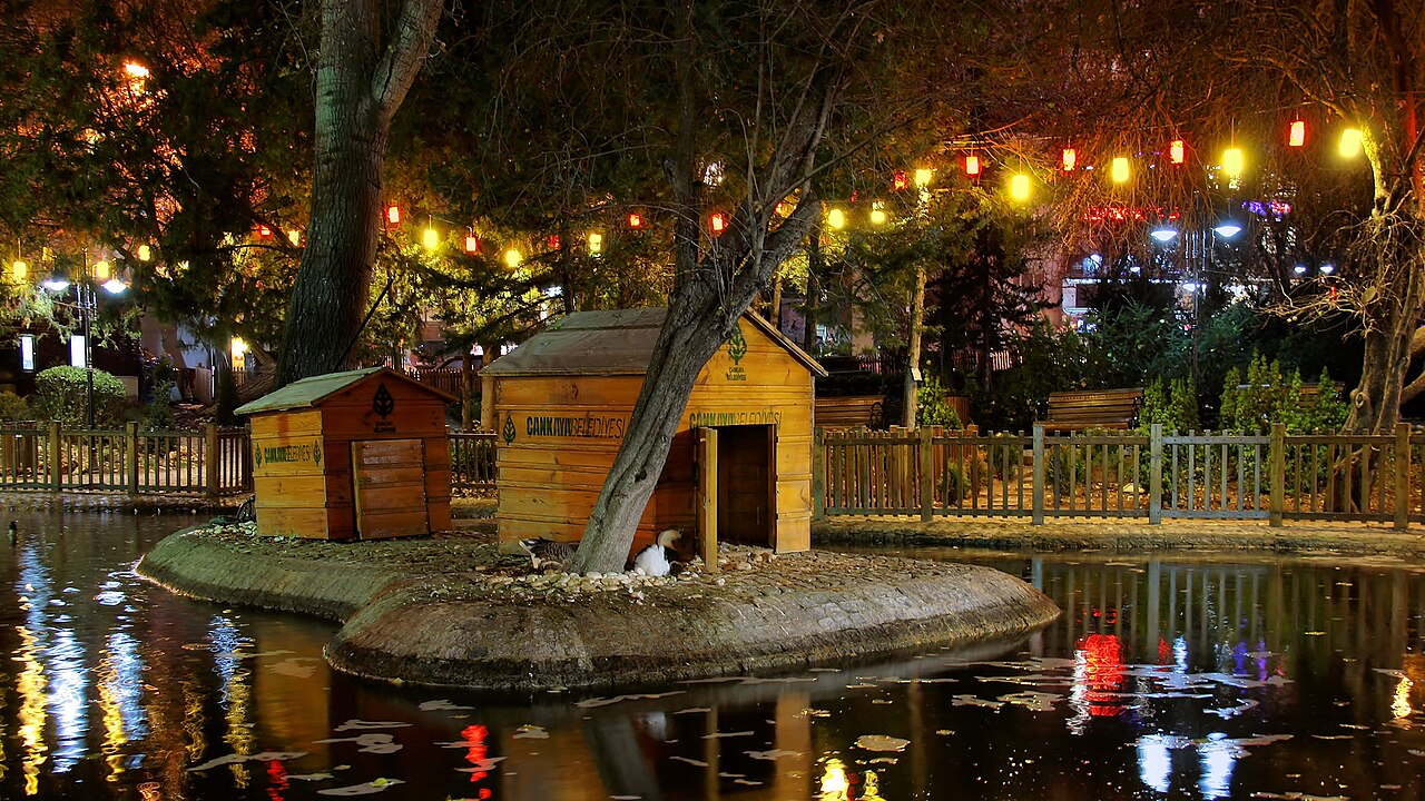 Kuğulu Park Ankara - kızılay günlük kiralık ev yakınında yürüyüş rotası